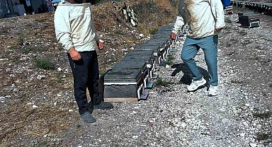 Arıcılığın geliştirilmesi için saha çalışmaları sürüyor