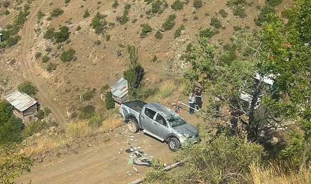 Artvin'de trafik kazası: Köy muhtarı hayatını kaybetti