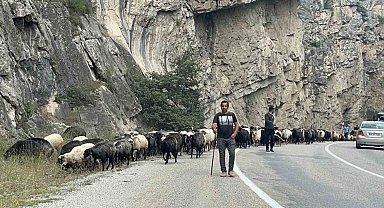 Artvin'de yaylalardan dönüş başladı