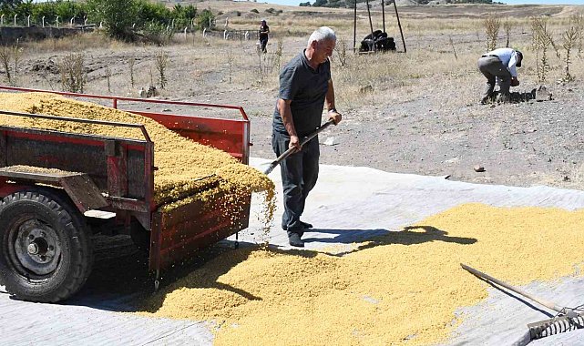 Ata mesleğini geleneksel yöntemlerle sürdürüyor, 41 yıldır bulgur üretiyorlar