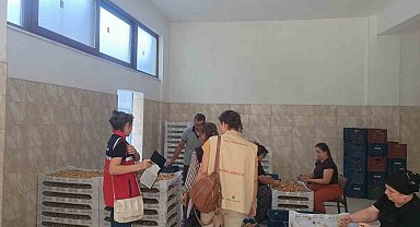 Aydın incirinin güvenilirliği için sahada titiz denetim
