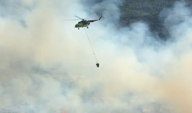 Aydın'da orman yangını
