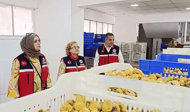 Aydın'ın sarı altını incir için denetimler sıklaştırıldı