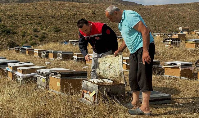 Aydıntepe'de 2026 yılı arılı kovan tespitleri başladı