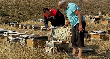 Aydıntepe'de 2026 yılı arılı kovan tespitleri başladı