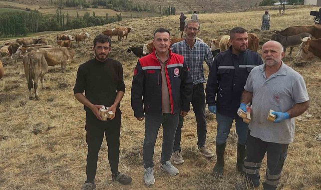 Aydıntepe'de hayvan yetiştiricilerine yonca zehirlenmesi uyarısı