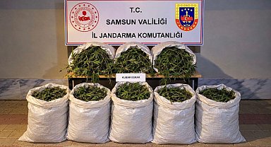Bafra'da 63 kilo kubar esrar ele geçirildi