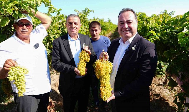 Bağ Bozumu Şenliği Manisalılardan tam not aldı
