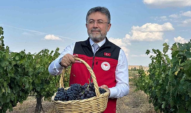 Bakan Yumaklı: "3 milyon 850 bin tonluk bir üzüm üretimi ülkemizde gerçekleşmiş olacak"