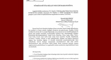Baki Ersoy, Develi'deki doğalgaz sorununu meclis gündemine taşıdı