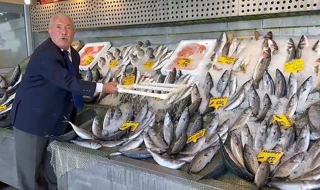 Balık sezonu bereketli başladı: Hamsi 200, palamut 100 liradan başlıyor