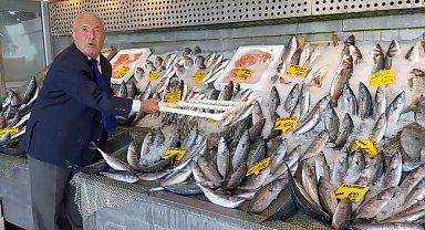 Balık sezonu bereketli başladı: Hamsi 200, palamut 100 liradan başlıyor