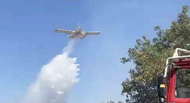 Balıkesir'de orman yangını