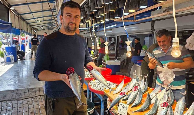 Bandırma'da balık tezgâhlarında palamut bereketi