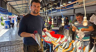 Bandırma'da balık tezgâhlarında palamut bereketi