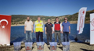 Baraj ve göletler 122 bin yavru balıkla buluştu