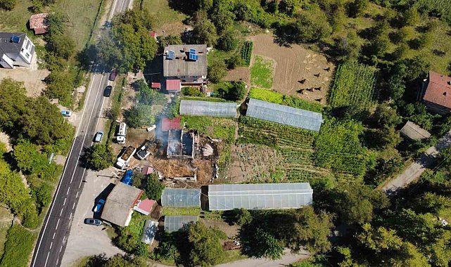 Bartın'da ahırda çıkan yangında 9 büyükbaş telef oldu