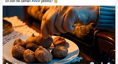 Başkan Çerçioğlu'ndan incir tanıtım filmi