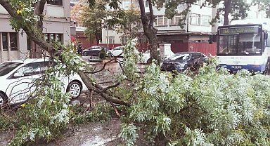 Başkentte yağıştan devrilen ağaç trafiği aksattı