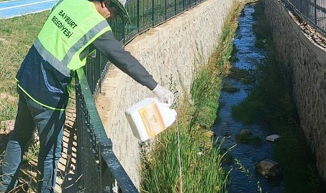 Bayburt'ta sivrisinek ve haşerelere karşı ilaçlama sürüyor
