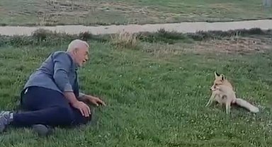 Bayburt'ta vatandaşın tilkiyle dostluğu kameraya yansıdı