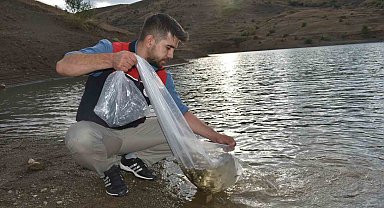 Bayburt'taki göletlere 150 bin sazan yavrusu bırakıldı