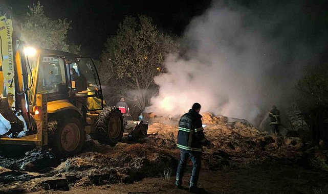 Besihanede yangın felaketi: 6 büyükbaş hayvan telef oldu