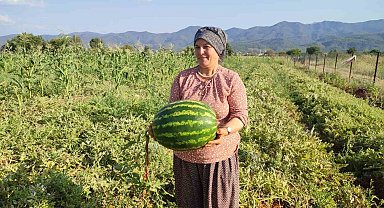 Beyağaç'ta ata tohumundan gelen bereket