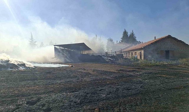 Beyşehir ve Hüyük'te çıkan anız yangınları paniğe neden oldu
