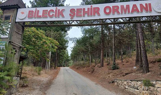 Bilecik Şehir Ormanı'nın yolları köstebek yuvasına döndü