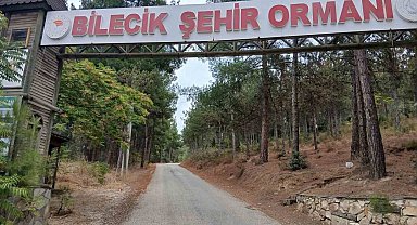 Bilecik Şehir Ormanı'nın yolları köstebek yuvasına döndü