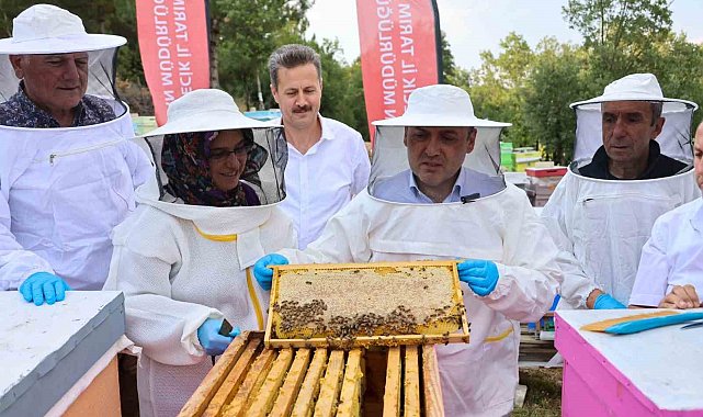 Bilecik'te 22 bin 500 kovandan 135 ton bal üretiliyor