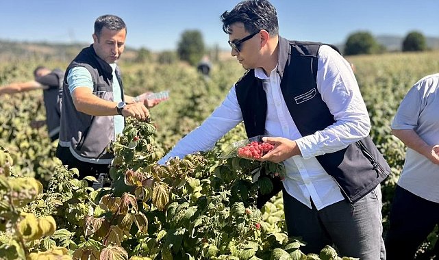 Bilecik'te ahududu hasadı başladı