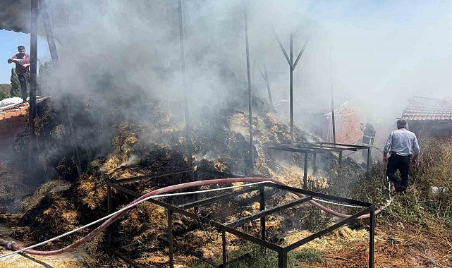 Bilecik'te iki köyde çıkan yangında çok miktarda saman balyası yandı