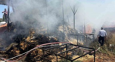 Bilecik'te iki köyde çıkan yangında çok miktarda saman balyası yandı