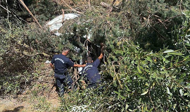 Bilecik'te kontrolden çıkan otomobil şarampole uçtu