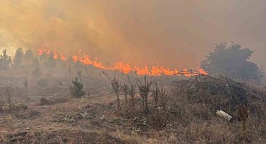 Bilecik'te makilik alanda çıkan yangın rüzgarın etkisiyle büyüyor