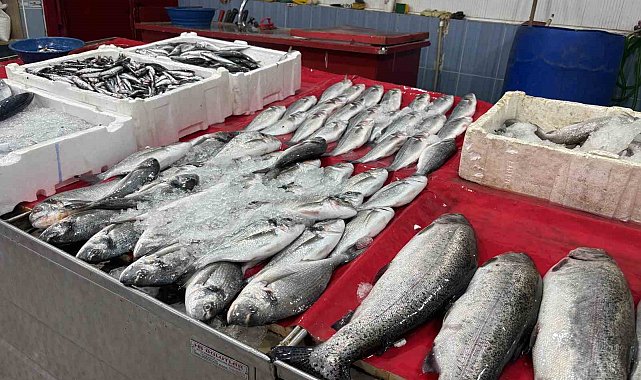 Bingöl'de balık tezgahları şenlendi