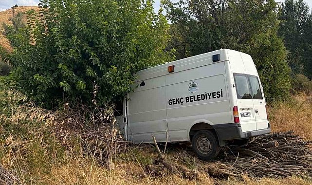 Bingöl'de minibüs ağaca çarptı: 3 yaralı