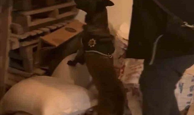 Bingöl'de uyuşturucu taciri tutuklandı