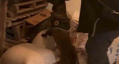 Bingöl'de uyuşturucu taciri tutuklandı