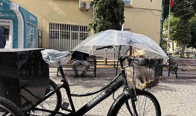 Bisiklet sepetindeki köpeğini yağmurdan şemsiye ile korudu