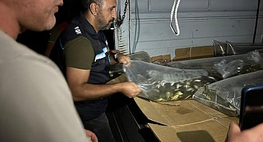 Bitlis'te göl ve göletlere 1 milyon 397 bin 500 yavru sazan bırakıldı