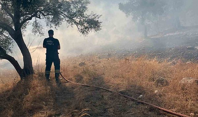 Bodrum-Milas karayolu üzerinde ot yangını