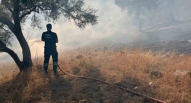 Bodrum-Milas karayolu üzerinde ot yangını