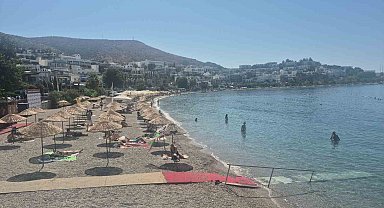 Bodrum'a iki gemiyle 2 bin 484 turist geldi