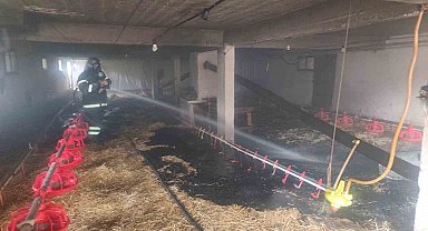 Bolu'da 10 bin kapasiteli kümeste yangın