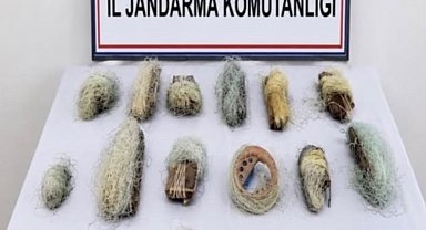 Bolu'da 22,5 metre kaçak ağ ele geçirildi