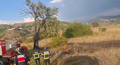 Bolu'da ağaca düşen yıldırım yangına sebep oldu