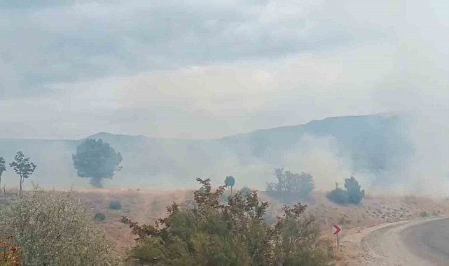 Bolu'da arazi yangını ormanlık alana ulaşmadan söndürüldü
